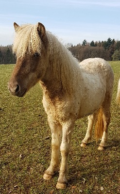 Klicken Sie in das Bild, um die Großansicht aufzurufen