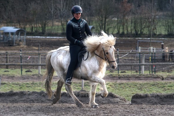 Klicken Sie in das Bild, um die Großansicht aufzurufen