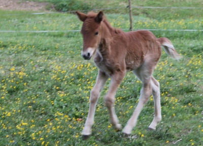 Klicken Sie in das Bild, um die Großansicht aufzurufen