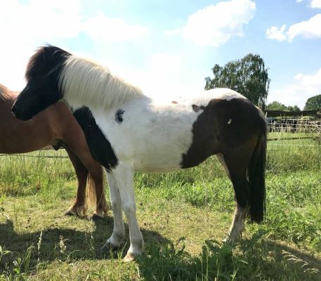 Klicken Sie in das Bild, um die Großansicht aufzurufen