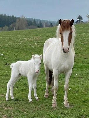 Klicken Sie in das Bild, um die Großansicht aufzurufen