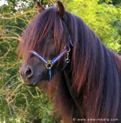 Klicken Sie in das Bild, um die Gro�ansicht aufzurufen